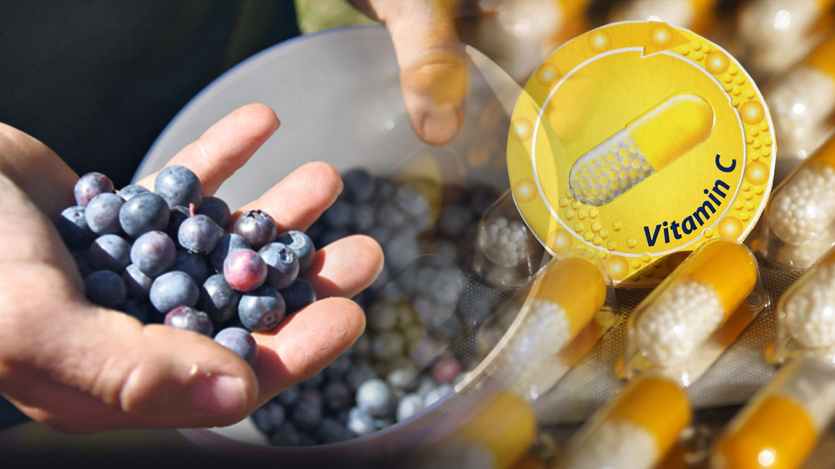 Yaz mevsiminin portakalı! C vitamini ve antioksidan deposu: Tarlada 400 liraya satılıyor