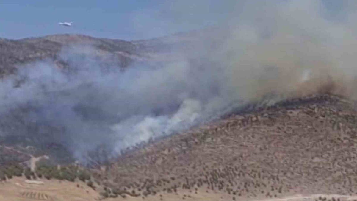 Manisa’da orman yangını