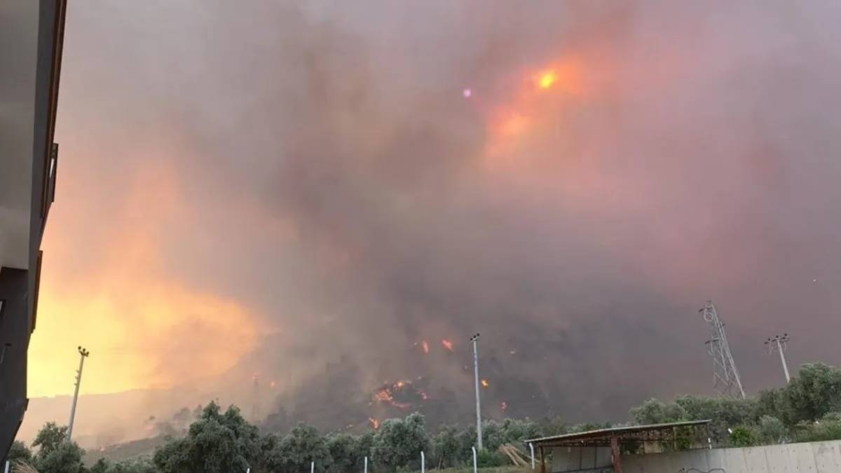 Dört ilde yangın: Alevlerle mücadele sürüyor