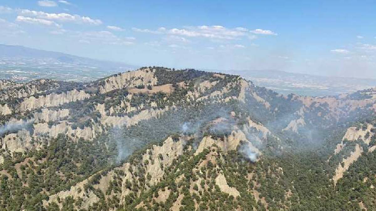 290 hektar alan zarar gördü! Manisa'da 3 gündür süren orman yangını kısmen kontrol altında