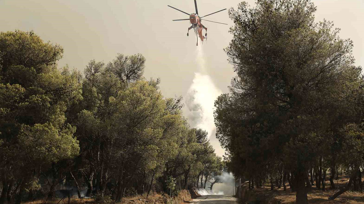 Türkiye'den Yunanistan'a destek: Yangın söndürme uçağı gönderiliyor