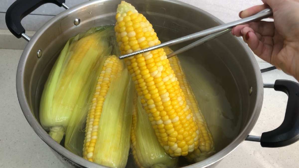 Uzun uzun kaynatmaya gerek yok! Kısacık sürede lokum gibi oluyor, kimse tadına doyamıyor! İşte süt mısır pişirme tüyosu…