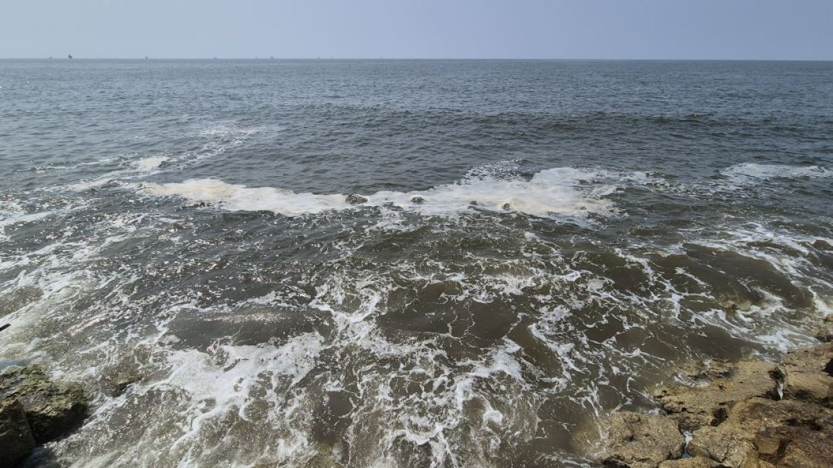 Mersin Körfezi alarm veriyor: 'Müsilaj'dan daha beter'