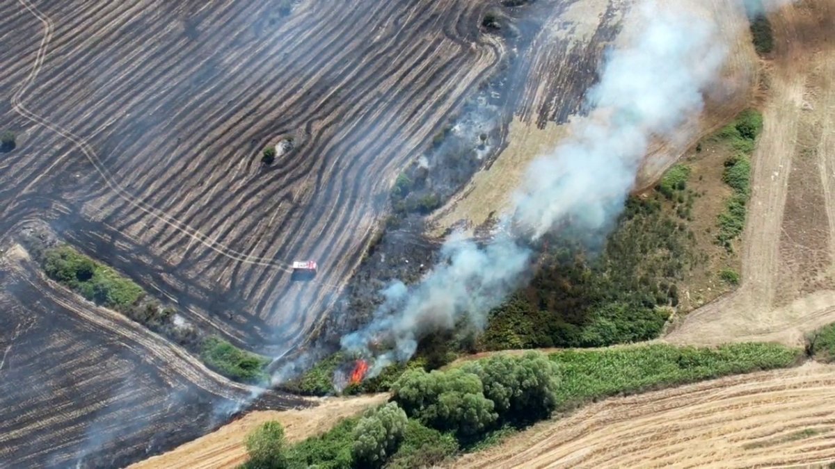 Arnavutköy'de ot yangını