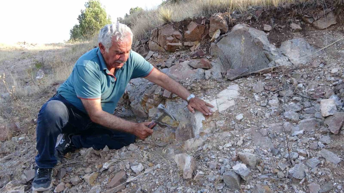 Taşlara kazmayı vurdukça içerisinden fışkırıyor! Şans eseri keşfetti, bu toprağın her karışında servet yatıyor