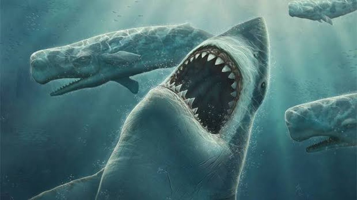 Rüyada büyük balık görmek ne anlama gelir? Balık görmek uğurlu mu?