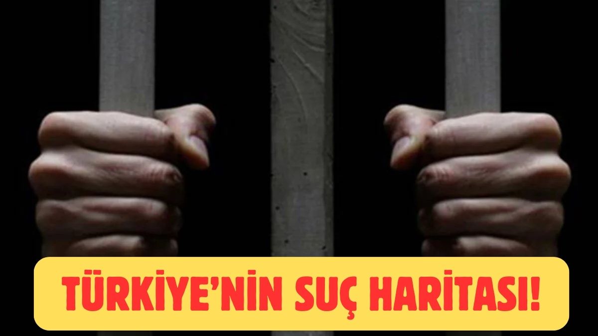 Türkiye’nin suç haritası ortaya çıktı! Oranlar epey dikkat çekici: İlk sıradaki şehir herkesi şaşırttı