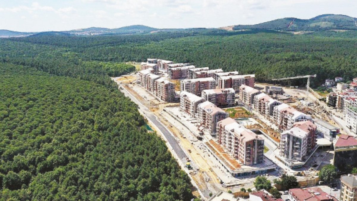 TOKi her ormanın dibine yerleşiyor: İstanbul tahrip döngüsüne girdi