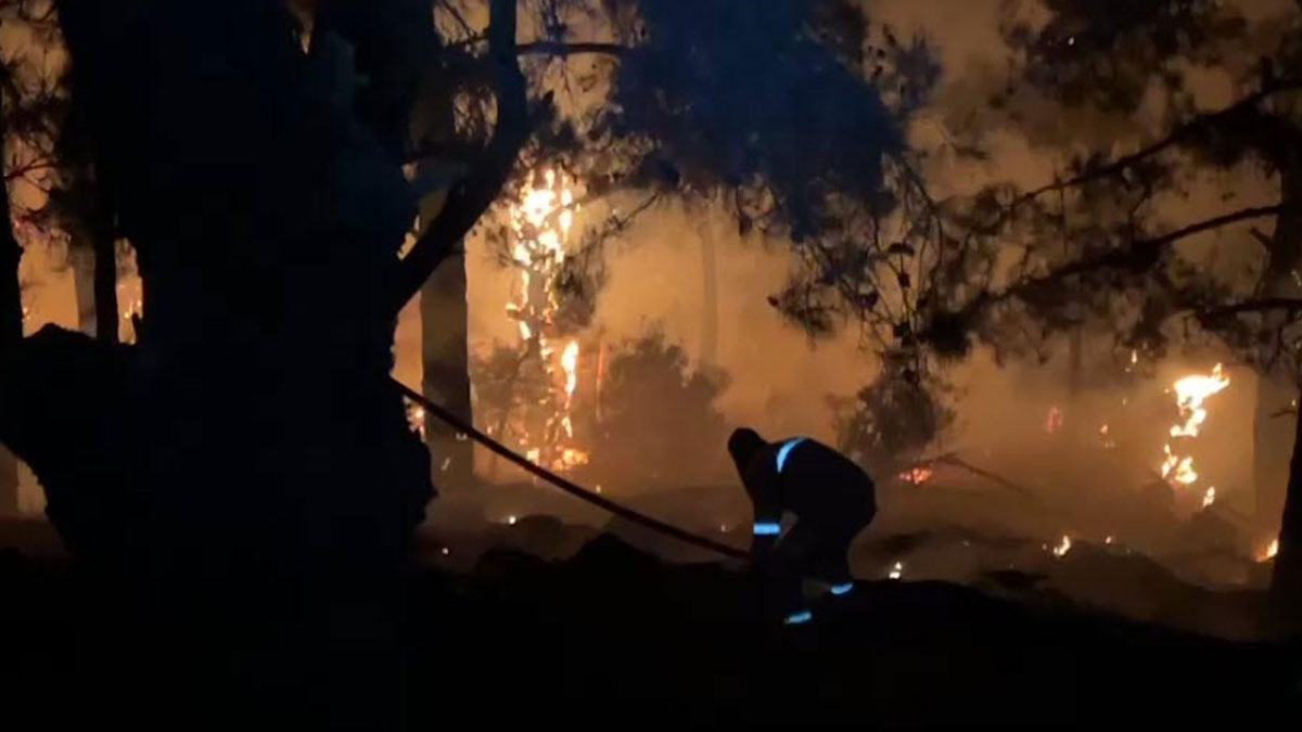 İzmir Karşıyaka'da yangın