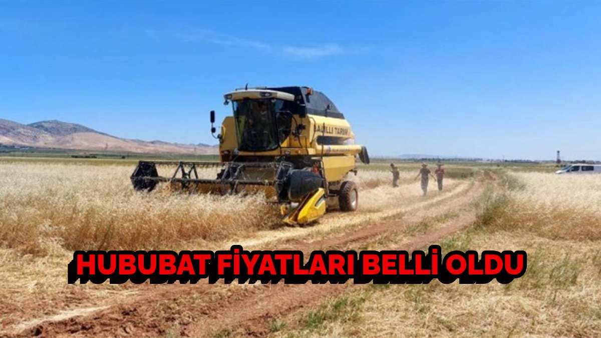 Buğday, mısır arpa fiyatlarında son durum: Ton başına 130 lira arttı! İşte yeni hububat fiyatları…