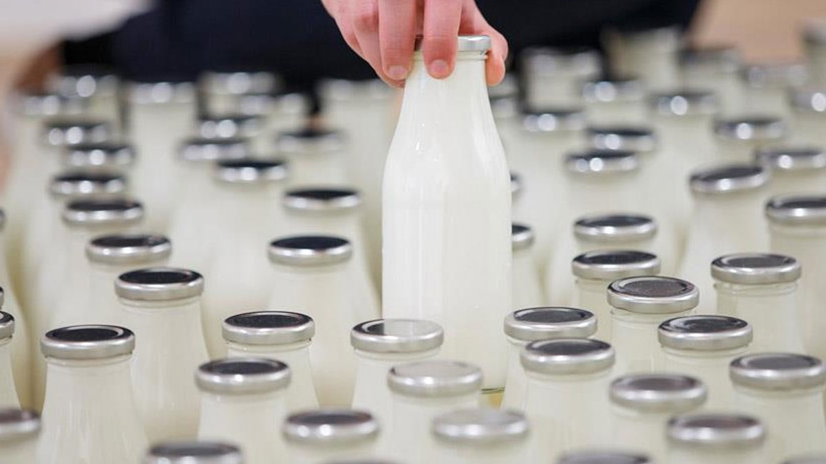 TÜİK açıkladı: Süt üretiminde büyük düşüş