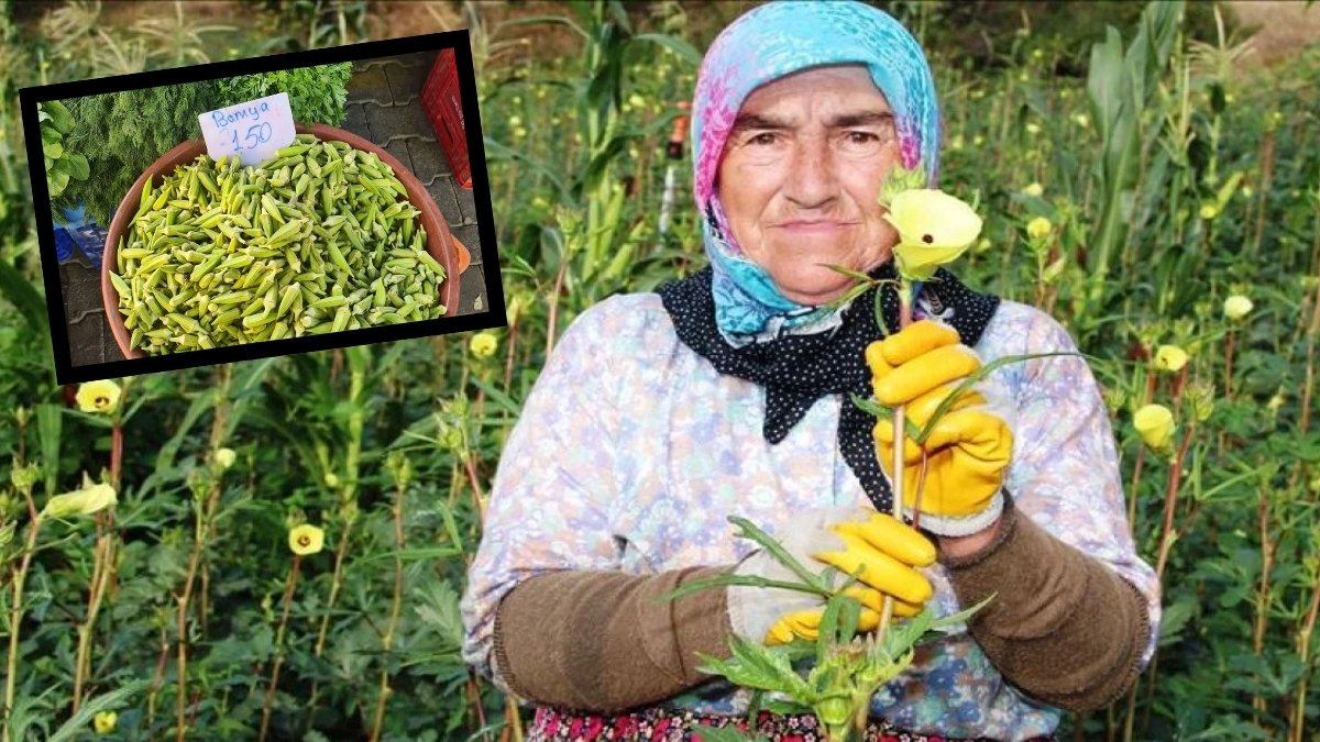 Evinde olan yaşadı! Pazarda el değmiyor: Kilosu 150 kurusu 3 bin TL'ye satılıyor