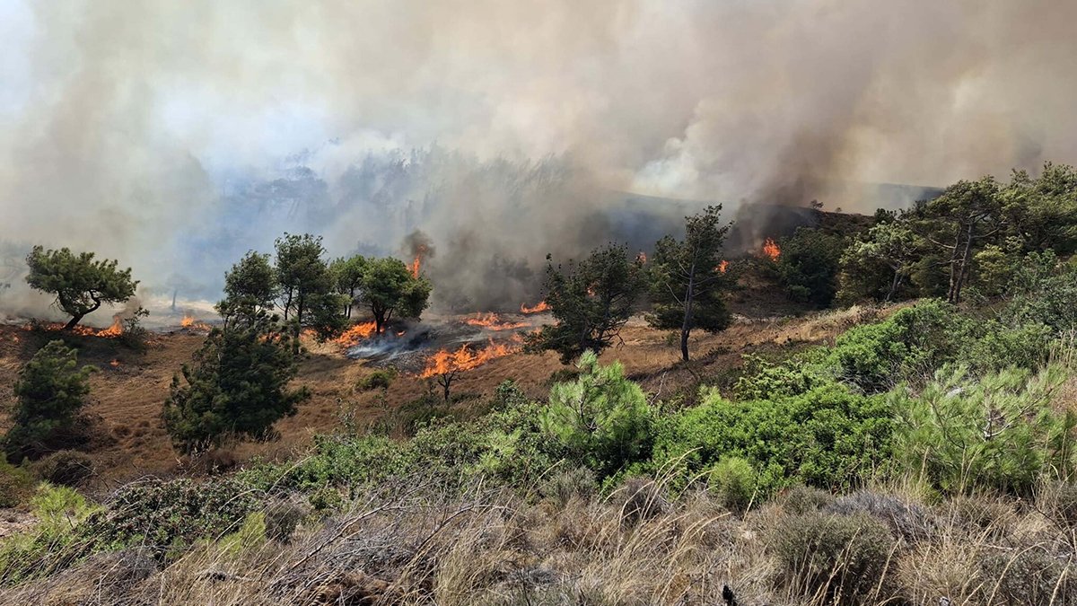 Bozcaada’da korkutan yangın: Ekipler müdahale ediyor