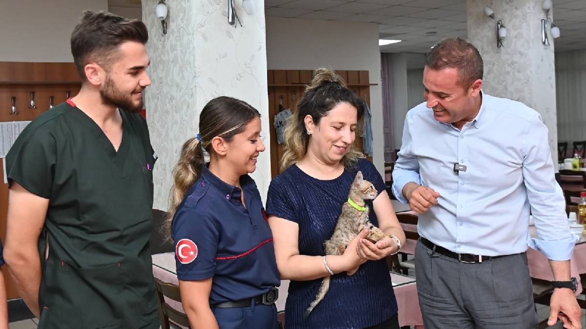 Tedavisi tamamlanan yavru kedi Biber sahibiyle buluştu