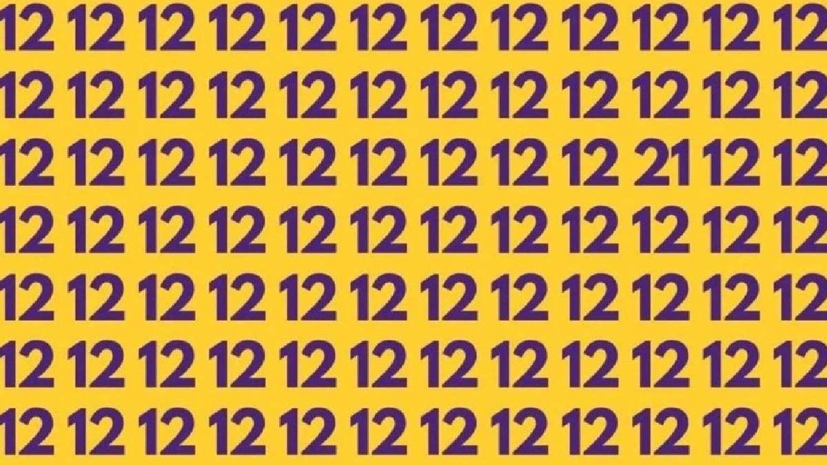 Einstein kalkıp gelse zor bulur! 4 saniyede farklı sayıyı bulan süper zeki çıkıyor