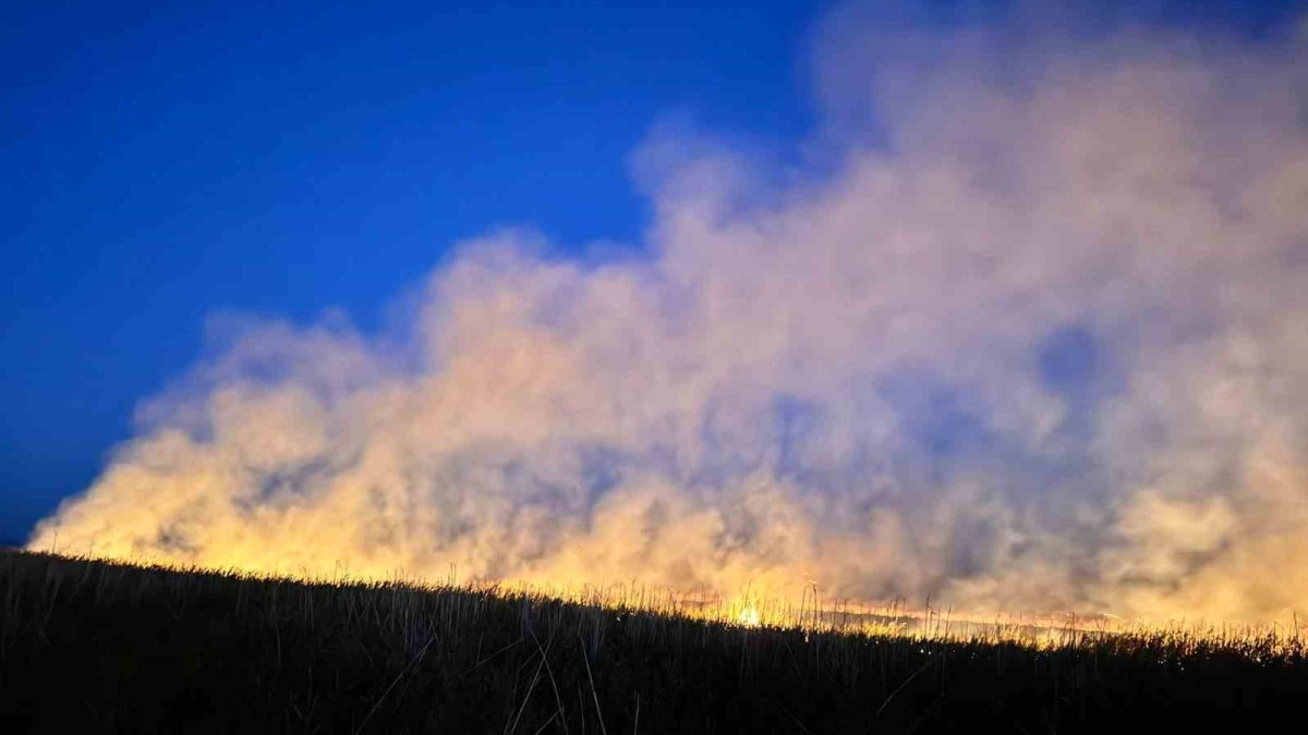 Afyonkarahisar’da orman yangını: 9 dönüm alan kül oldu