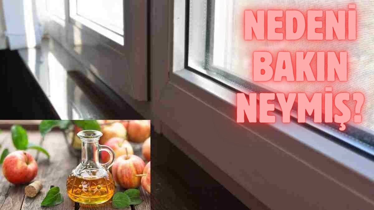 Eskilerin o yönteminin bir anlamı varmış! Elma sirkesini cam kenarına koyma nedenleri bakın neymiş?