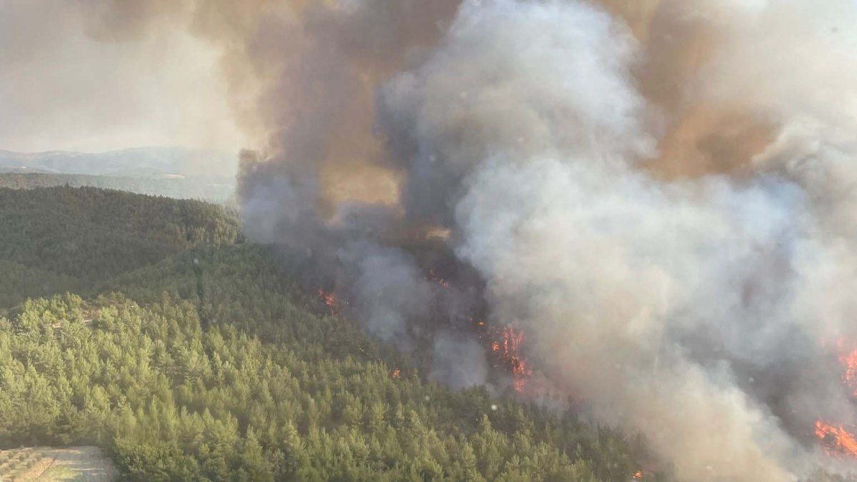 Manisa'da aynı bölgede 2 yangın: Müdahale sürüyor