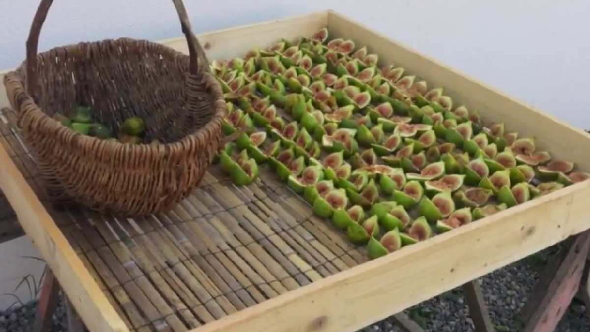 Bu kaliteyi kimse geçemiyor! Herkes Türkiye’nin o şehirden alıp götürüyor! Kilosu bu yıl 200 TL’den satılıyor