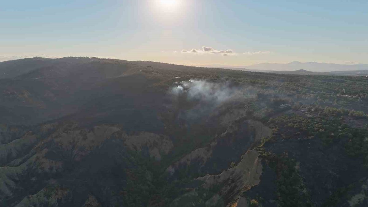 Tarihi Gelibolu Yarımadası'nda yanan alanlar havadan görüntülendi