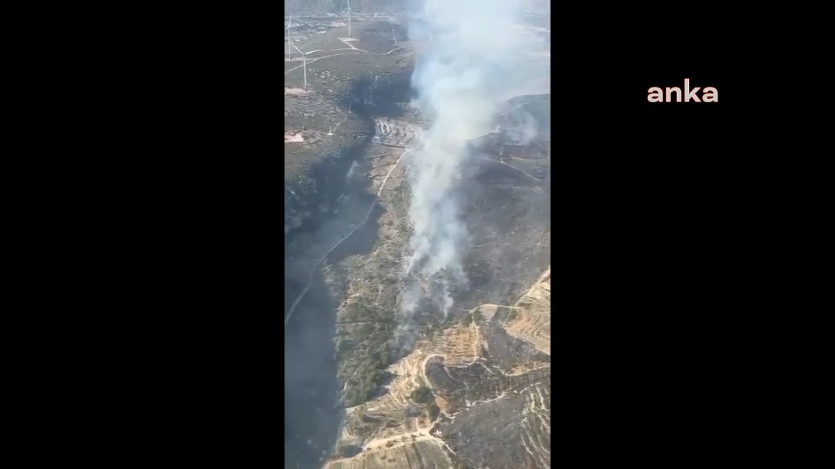 İzmir'in Çeşme ilçesinde yangın