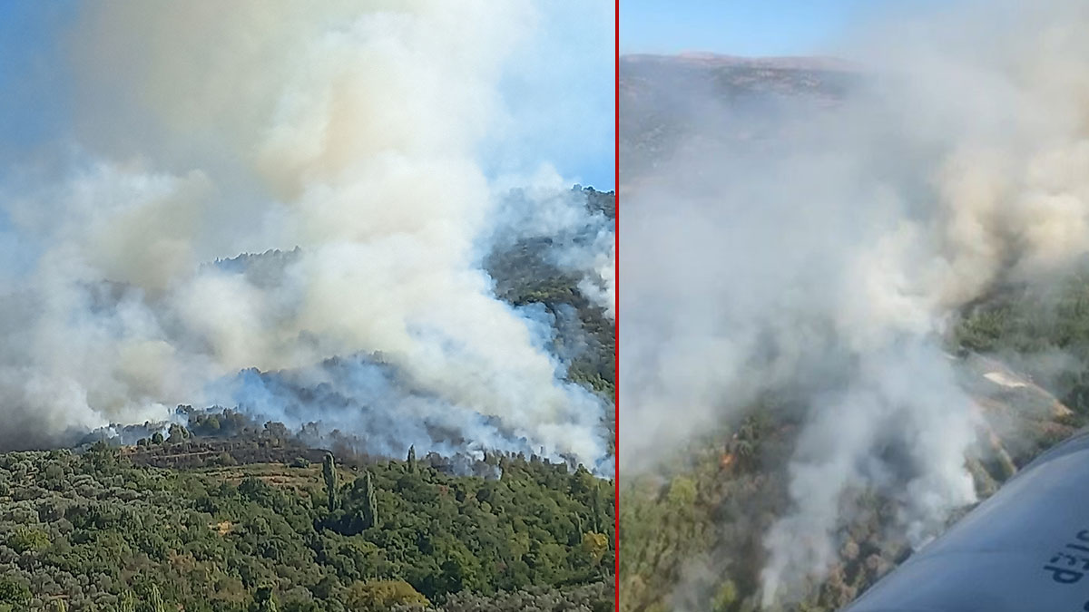 İzmir'de bir yangın daha: Ödemiş'te alevler yükseliyor