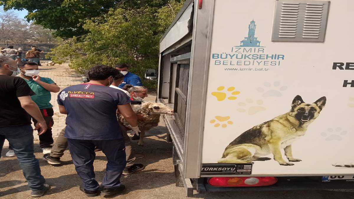 İzmir Büyükşehir Belediyesi’nin tüm birimleri yangında seferber oldu