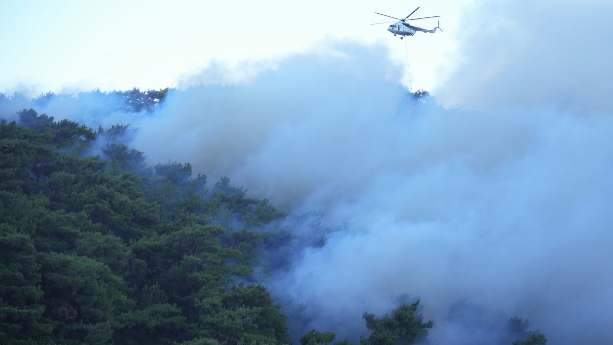 İzmir'deki yangının nedeni piknik ateşi