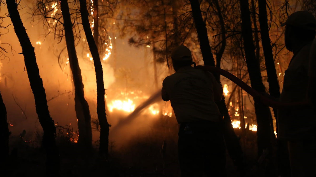 Yangınlar NASA haritasında: 7 bin futbol sahası büyüklüğündeki alan kül oldu