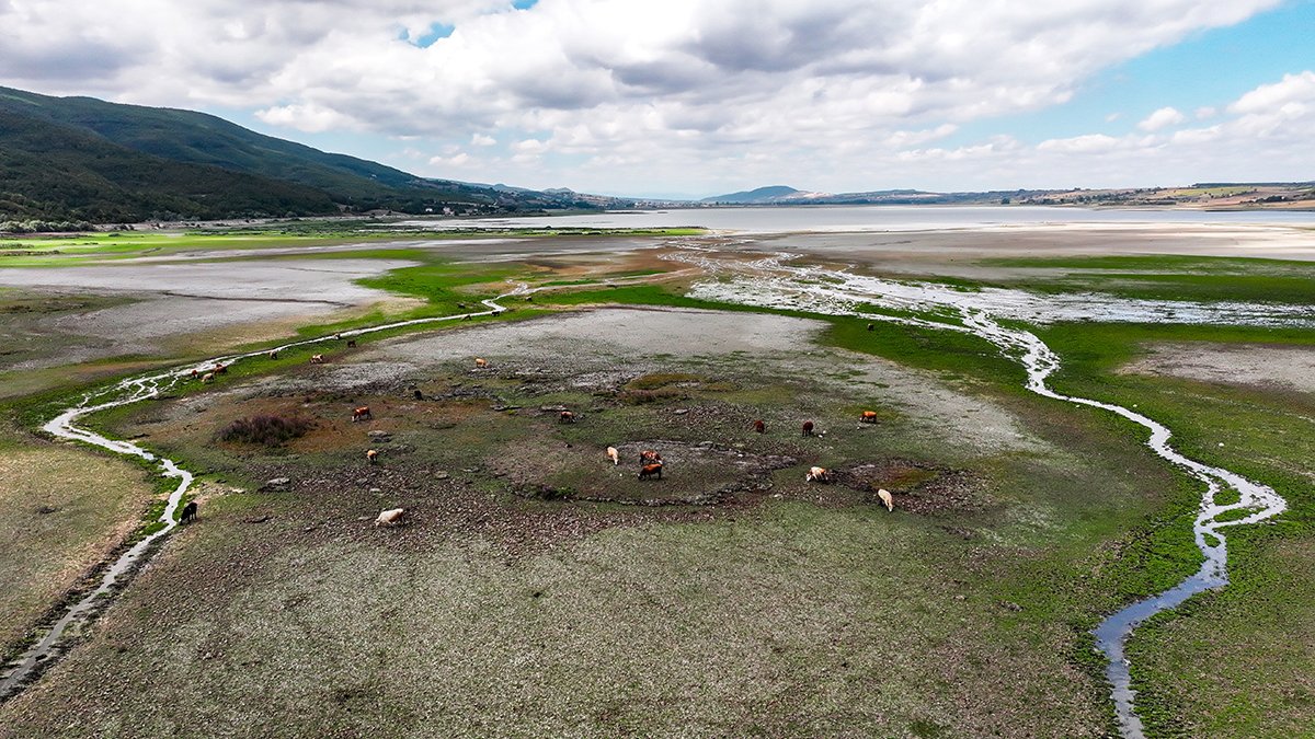 Ladik Gölü yok oluyor: 'Büyük bir felaketle sonuçlanabilir'