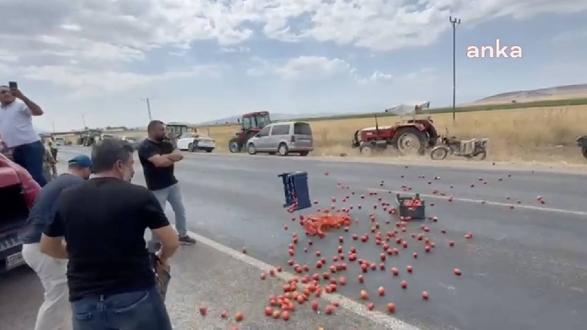 Kahramanmaraş'ta çiftçi kan ağlıyor... Ellerinde kalan domatesleri traktörlerle kapattıkları yola döktüler