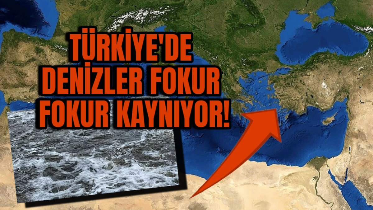 Türkiye'nin denizleri fokur fokur kaynıyor! Türkiye alarma geçti: Böylesi hiç görülmedi