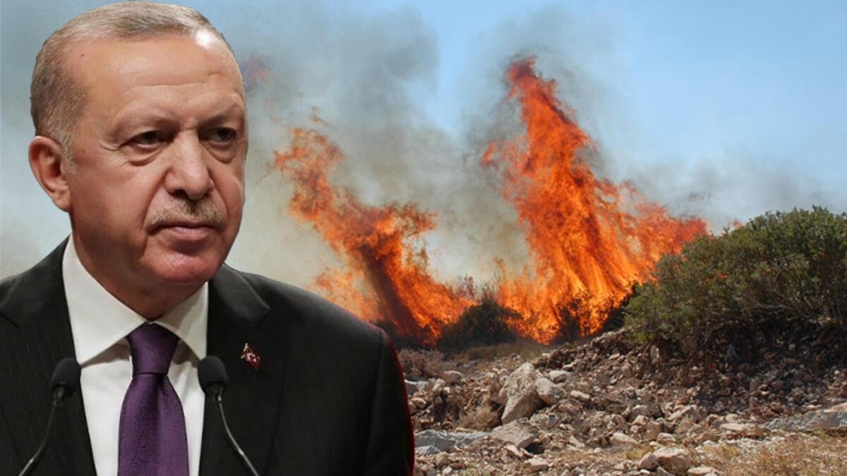 Erdoğan, Aliyev ile görüştü! Azerbaycan'dan Türkiye'ye yangın desteği