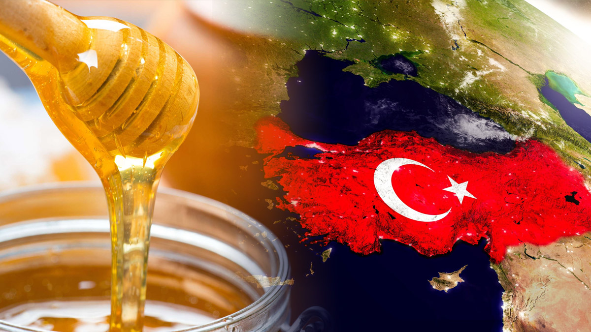 Türkiye'nin bal haritası yayınlandı! Bu haritaya bakmadan sakın bal almayın
