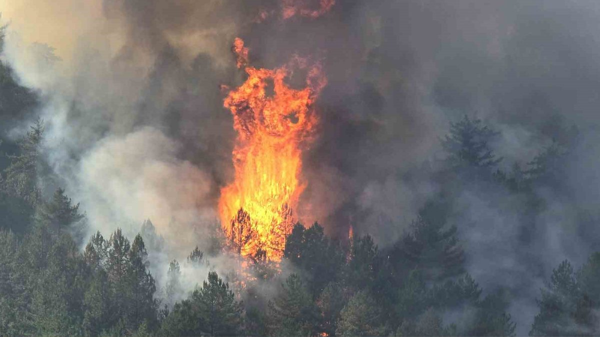 Yangın paylaşımlarına soruşturma
