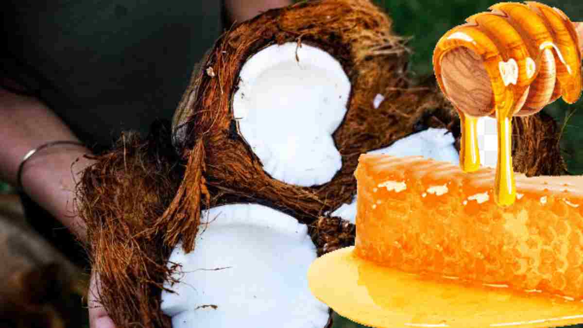 Hindistan cevizini balla karıştırın mucizeyi görün! Ne ağız kokusu ne de bakteri… Faydalarını sayarken insan yoruluyor