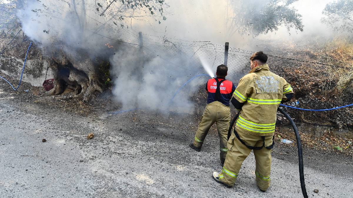 İzmir İtfaiyesi yangınlar için seferber oldu