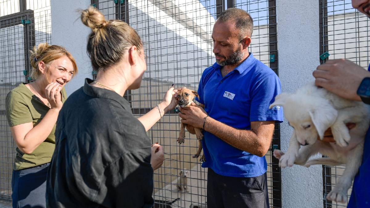 Yangından kurtarılan hayvanlar rehabilite ediliyor