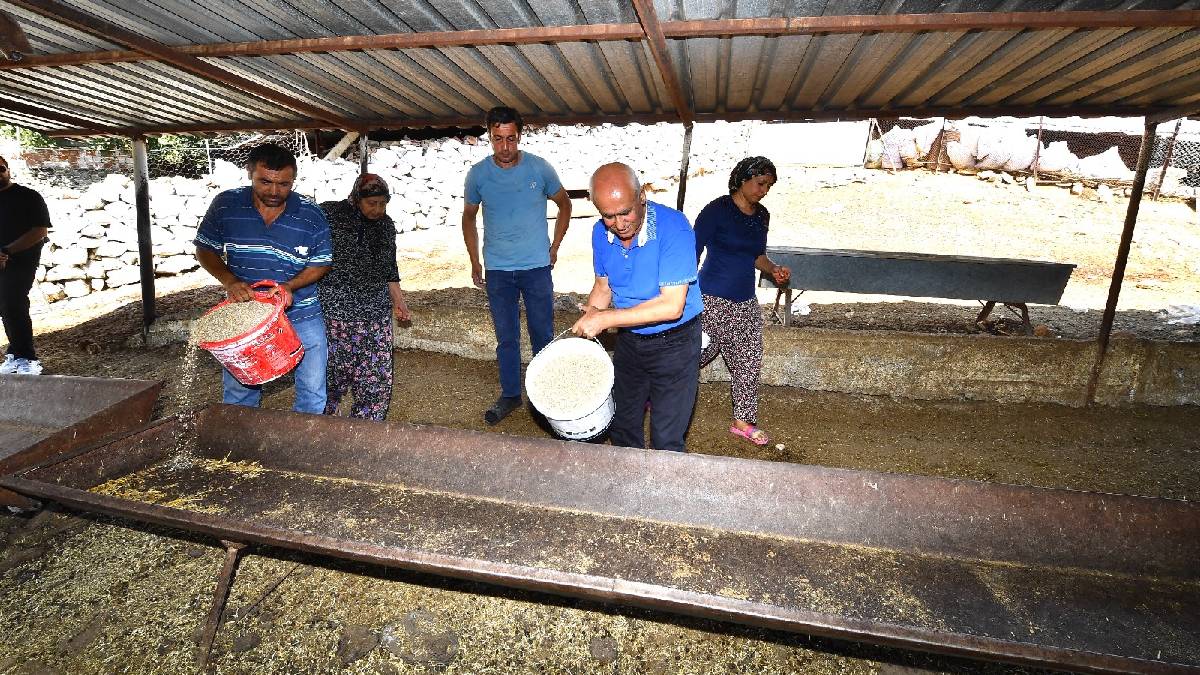 Büyükşehir yangından etkilenen köylerin yaralarını sarıyor