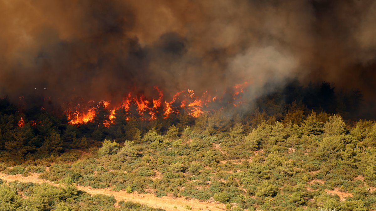 Manisa'daki orman yangını kontrol altında: 2 mahalle daha kül oldu