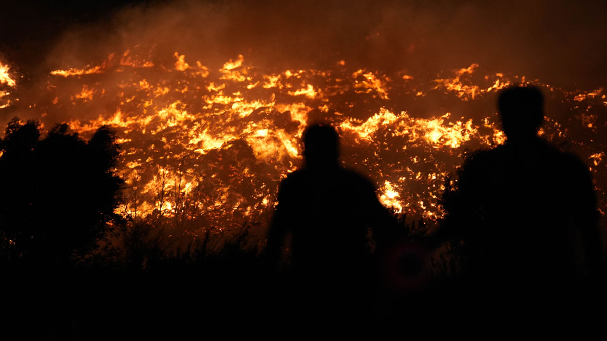 Türkiye'nin ciğerleri kül oldu... Orman yangınları geçen yıla göre yüzde 78 arttı