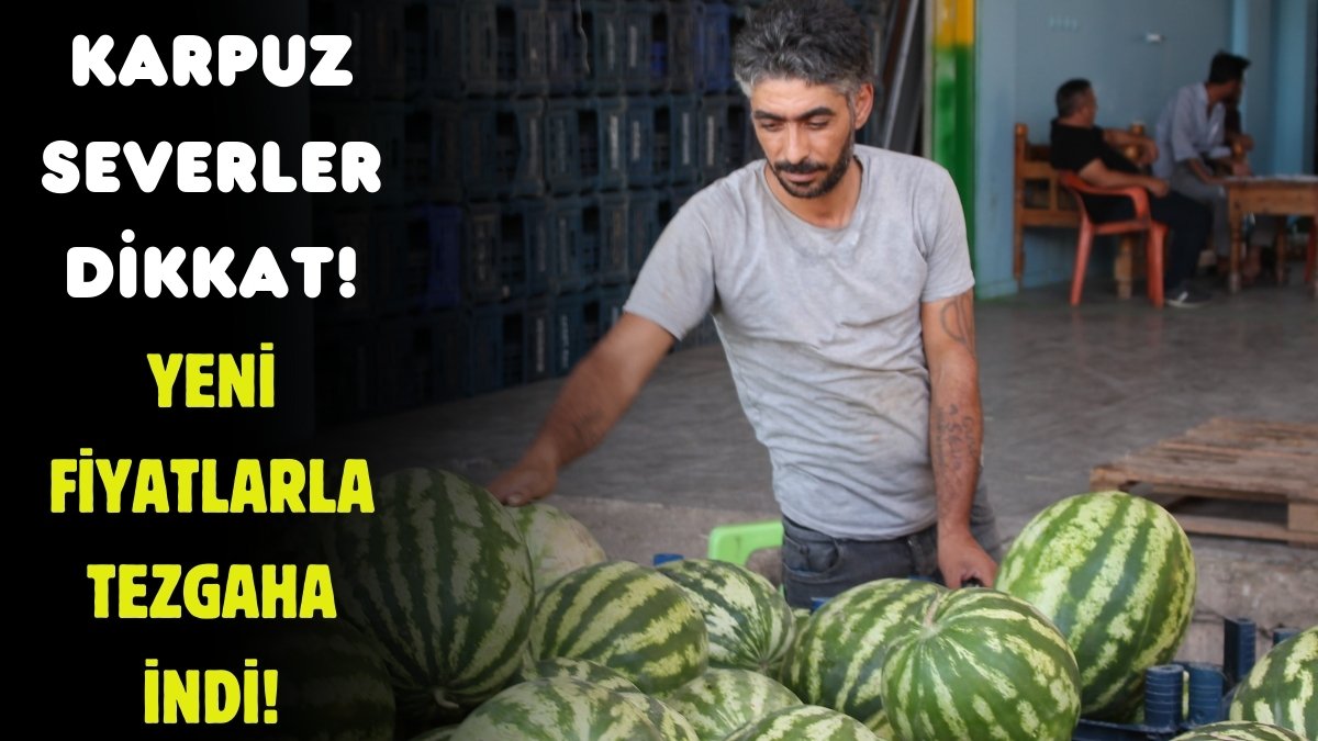 Yerli ve tescilli karpuz tezgaha indi! Geçen yıl fiyatlarından el değmiyordu: Kilosu 3-4 liraya kadar düştü
