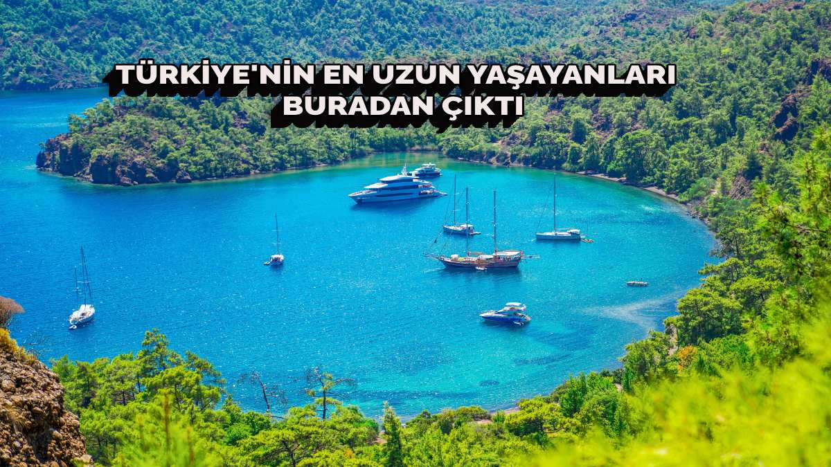 Türkiye’nin en uzun yaşayanları o ilden çıkıyor! Kimse İstanbul ve Ankara'da yaşamak istemeyecek! O şehirlere göç başlıyor…