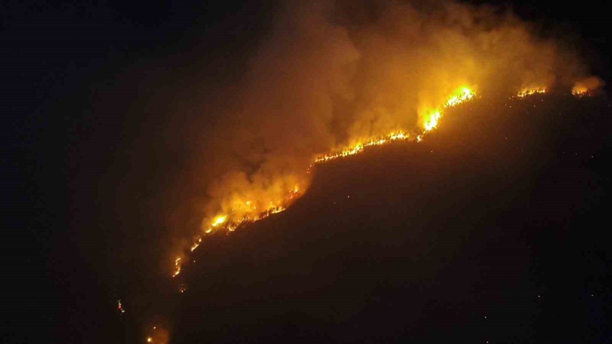 Çankırı'da orman yangını: 4 köy tahliye edildi