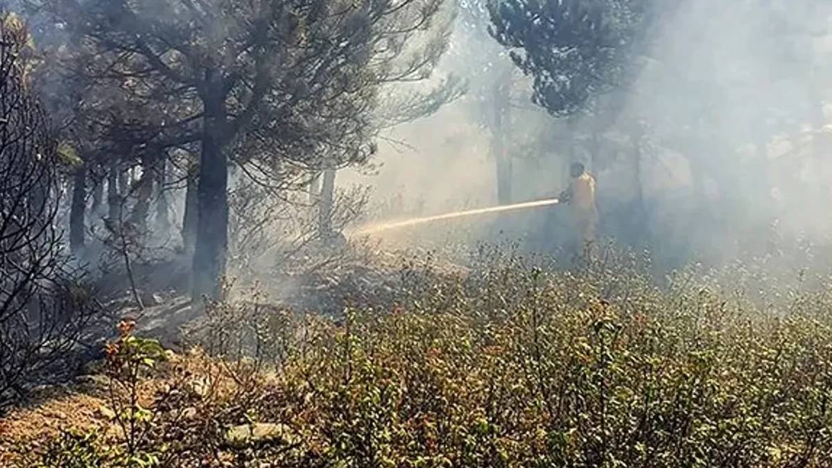 Afyonkarahisar'daki orman yangını kontrol altında