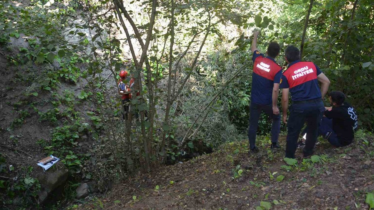 Feci olay! İncir ağacı sonu oldu