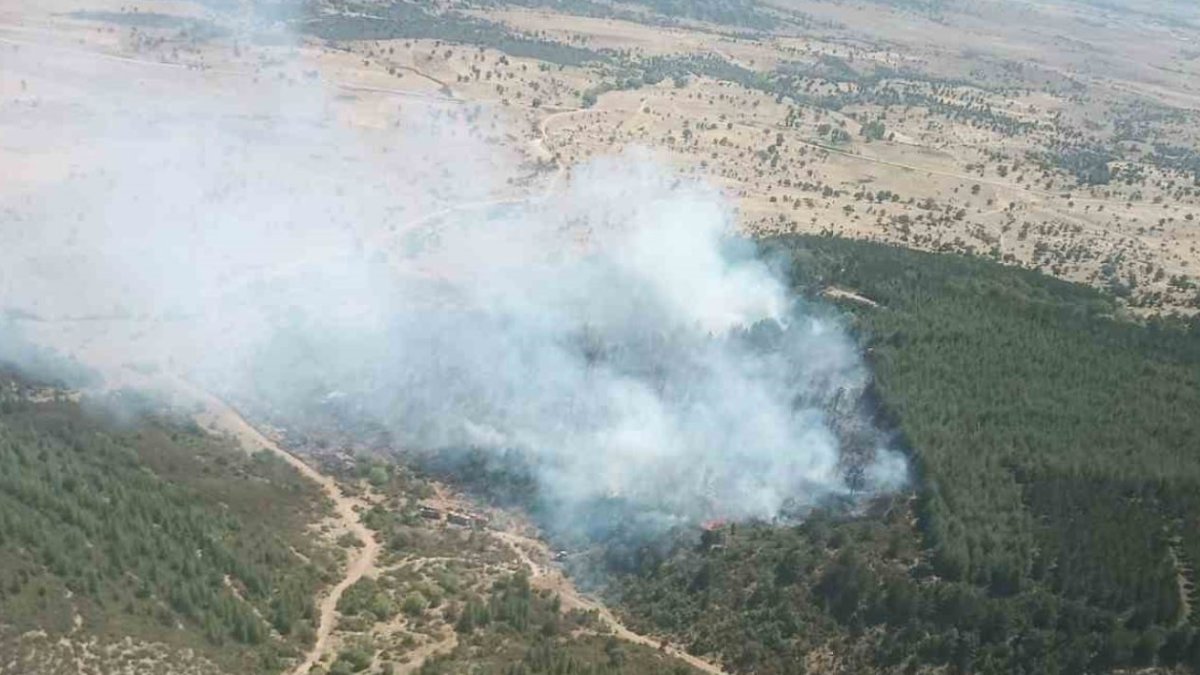 Afyonkarahisar’da ikinci orman yangını