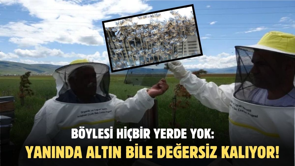 Altın yanında değersiz kalıyor herkes peşinde koşuyor! Kilogramı 100 bin dolardan satışta: Hobisi şimdi para kaynağı…