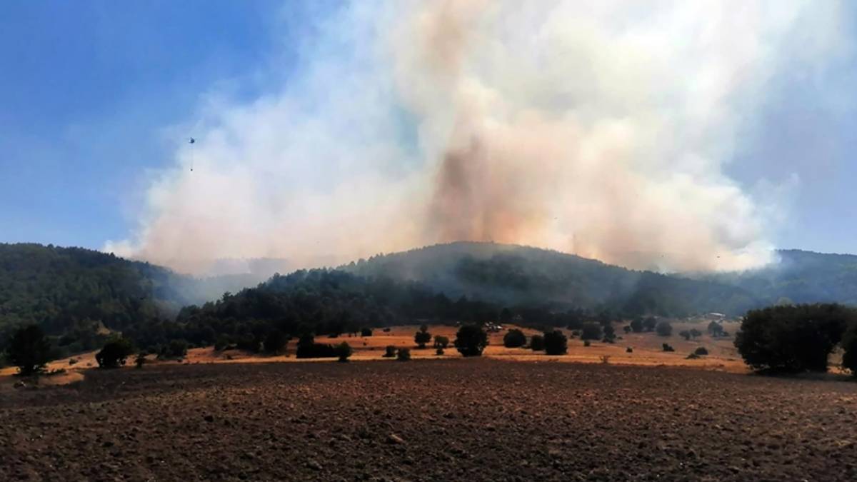 Afyonkarahisar’daki orman yangını kontrol altında