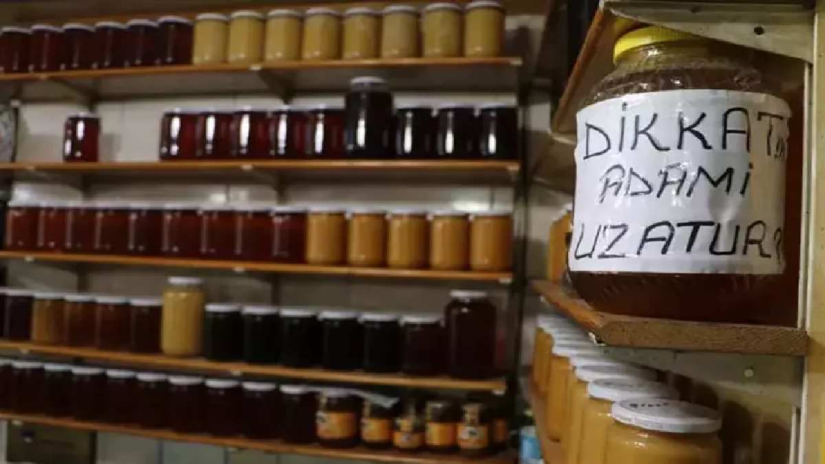 Şifa niyetine yiyorduk! O bal biyolojik silah çıktı: Karadeniz'de yetişiyor, bir lokması delirtiyor
